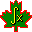 maple3.gif (267 bytes)